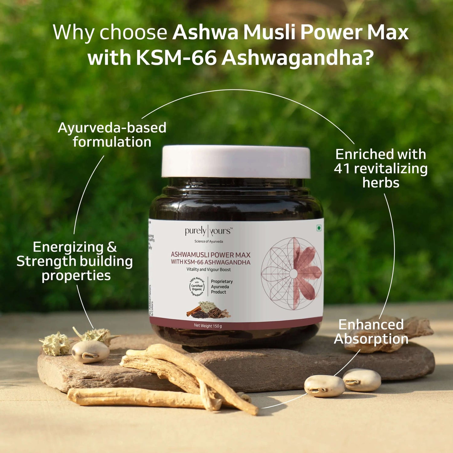 Ashwa Musli Power Max