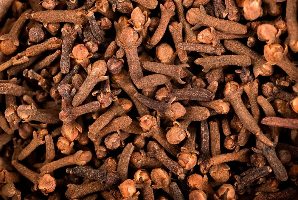 Lavanga