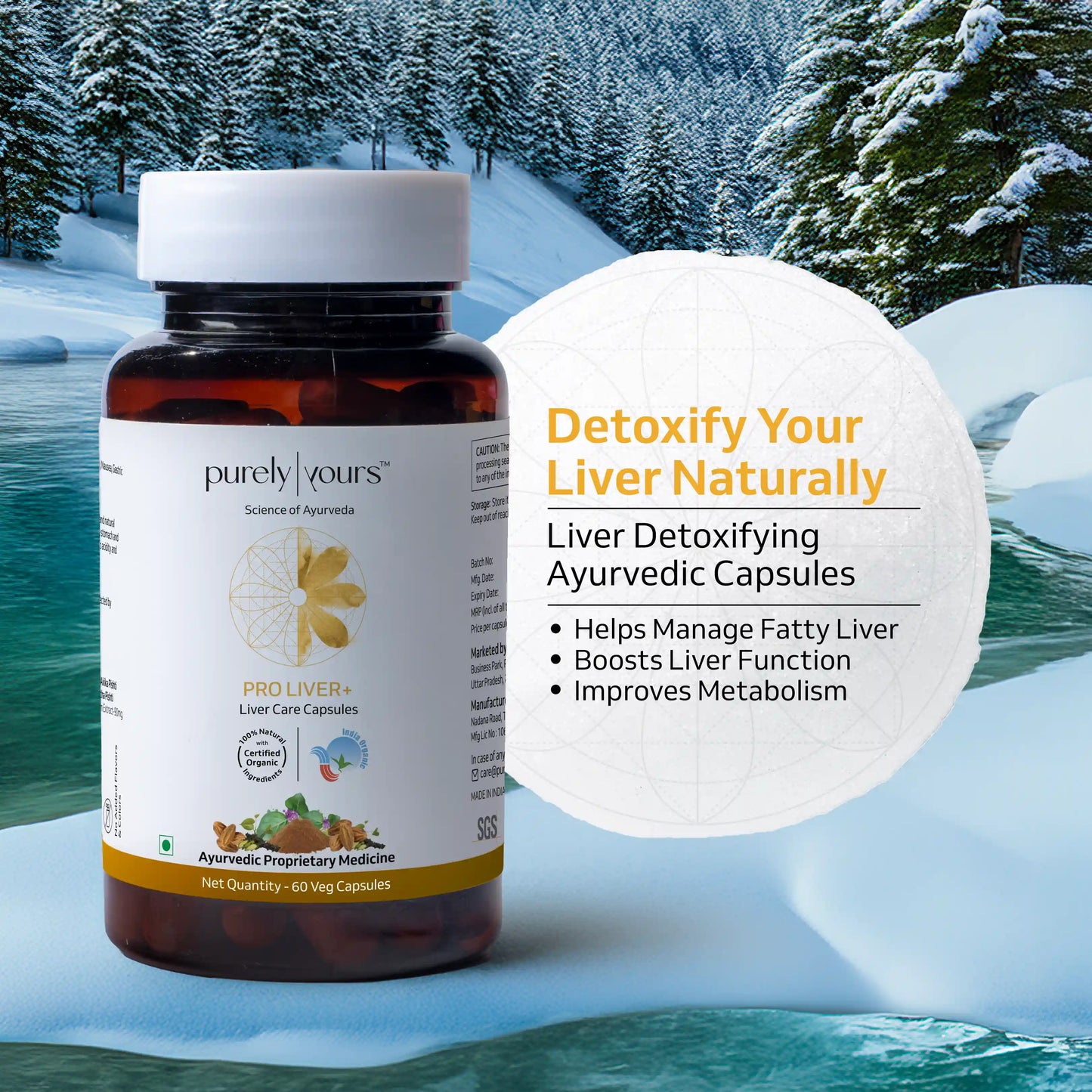 Pro Liver + | Ayurvedic Liver Cleanse and Detox | 60 Capsules