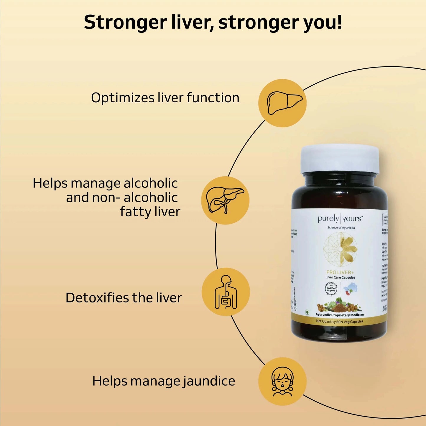 Pro Liver + | Ayurvedic Liver Cleanse and Detox | 60 Capsules