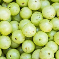 Amla