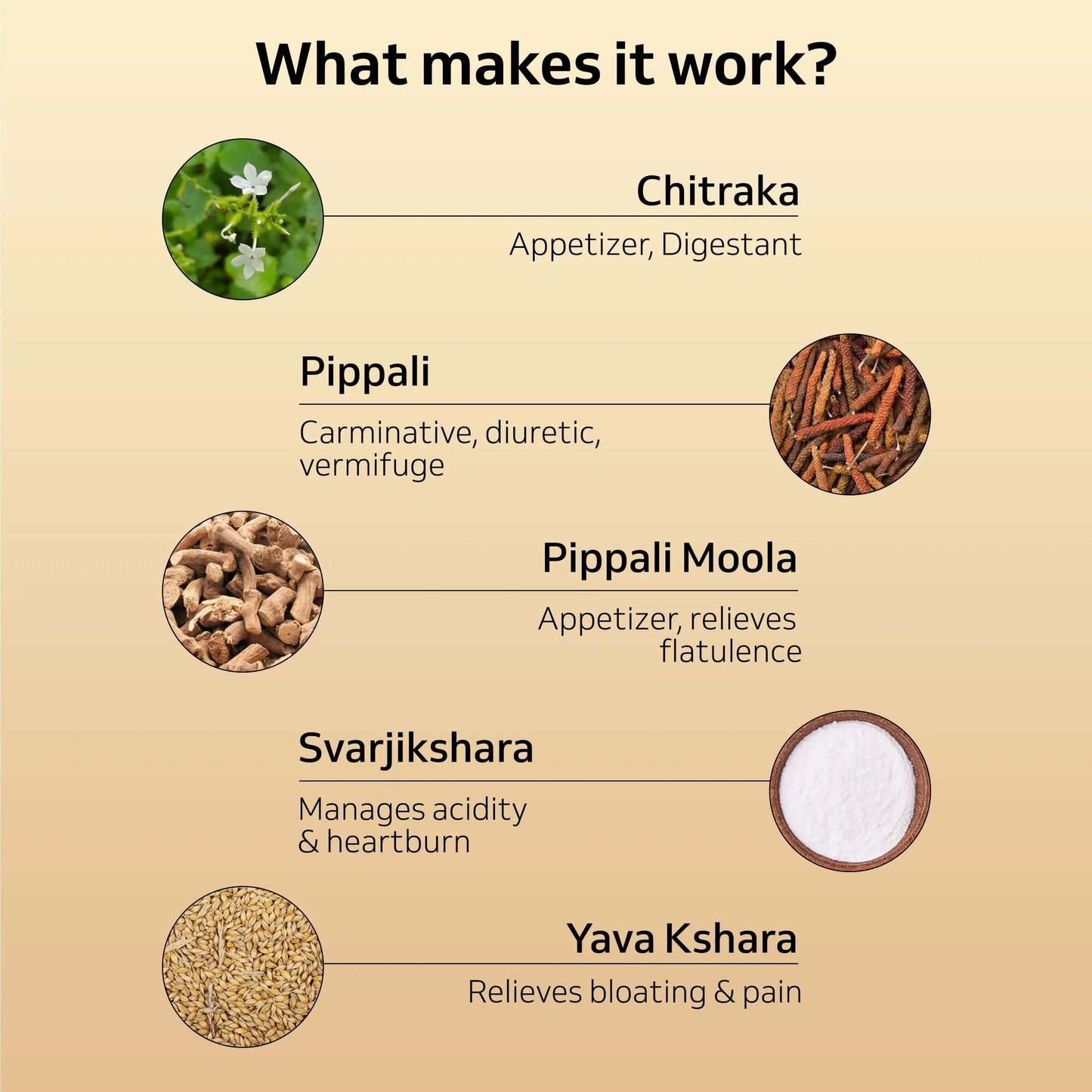 Chitrakadi Vati