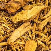 Daruhaldi