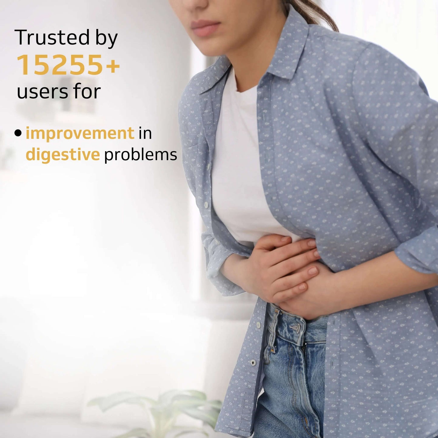 Organic Digestea Brew | indigestion treatment tea