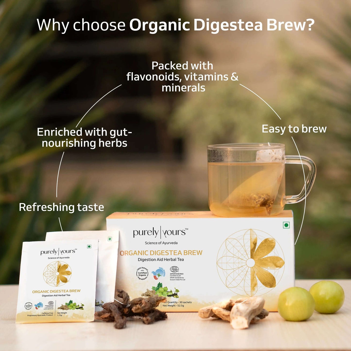 Organic Digestea Brew | indigestion treatment tea