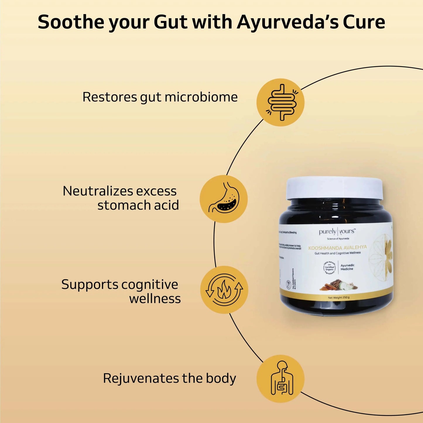 Kooshmanda Avalehya | Gut health rejuvenation solution