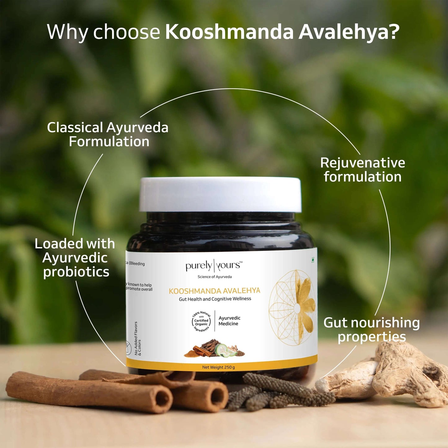 Kooshmanda Avalehya | Gut health rejuvenation solution