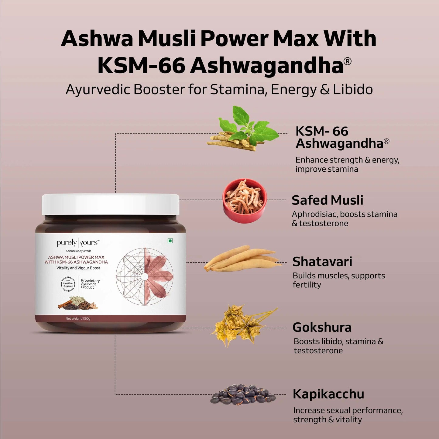Ashwa Vigour Ultra (Ultra Performance Combo)