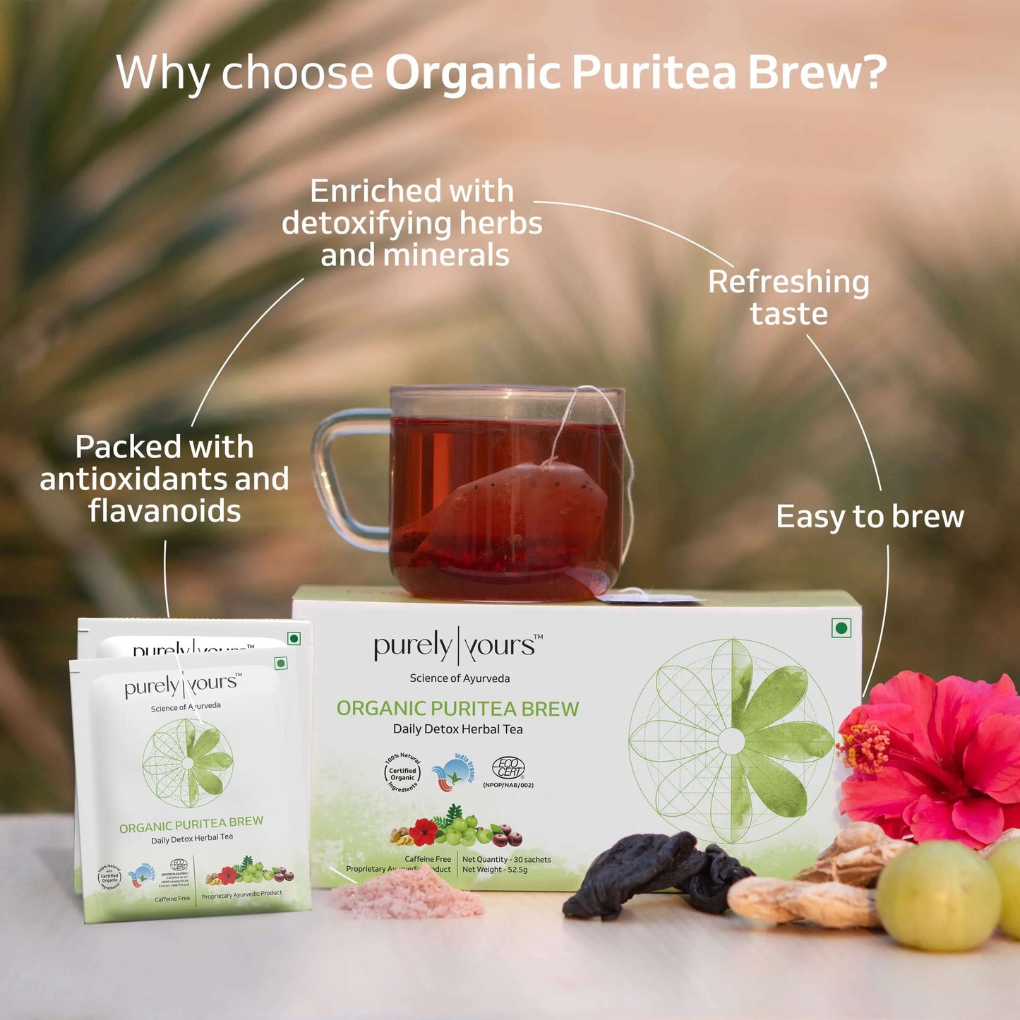 Organic Puritea Brew
