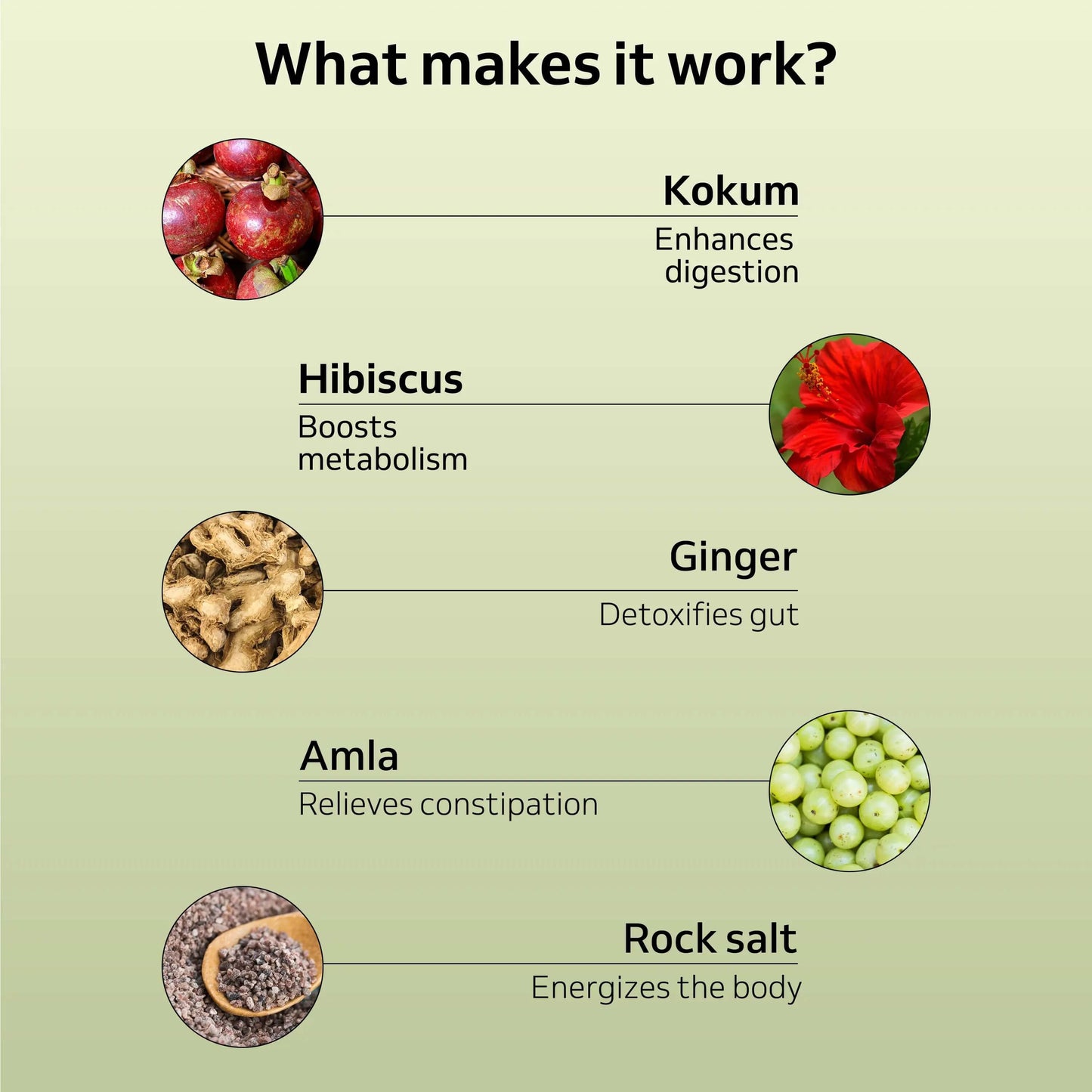 Organic Puritea Brew