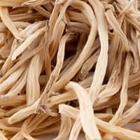 Safed Musli