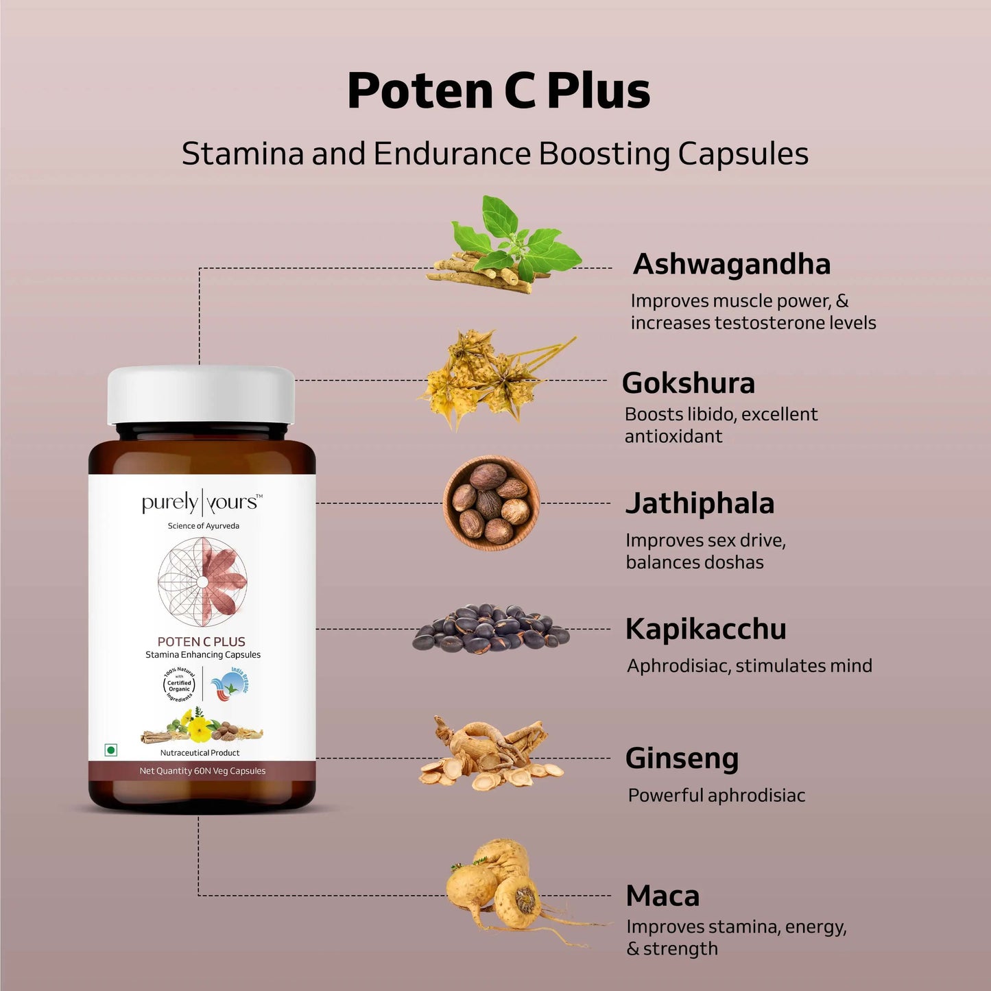 Stamina Pack For Men