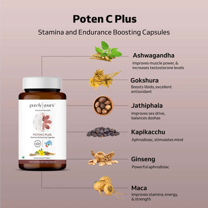 Stamina Pack For Men