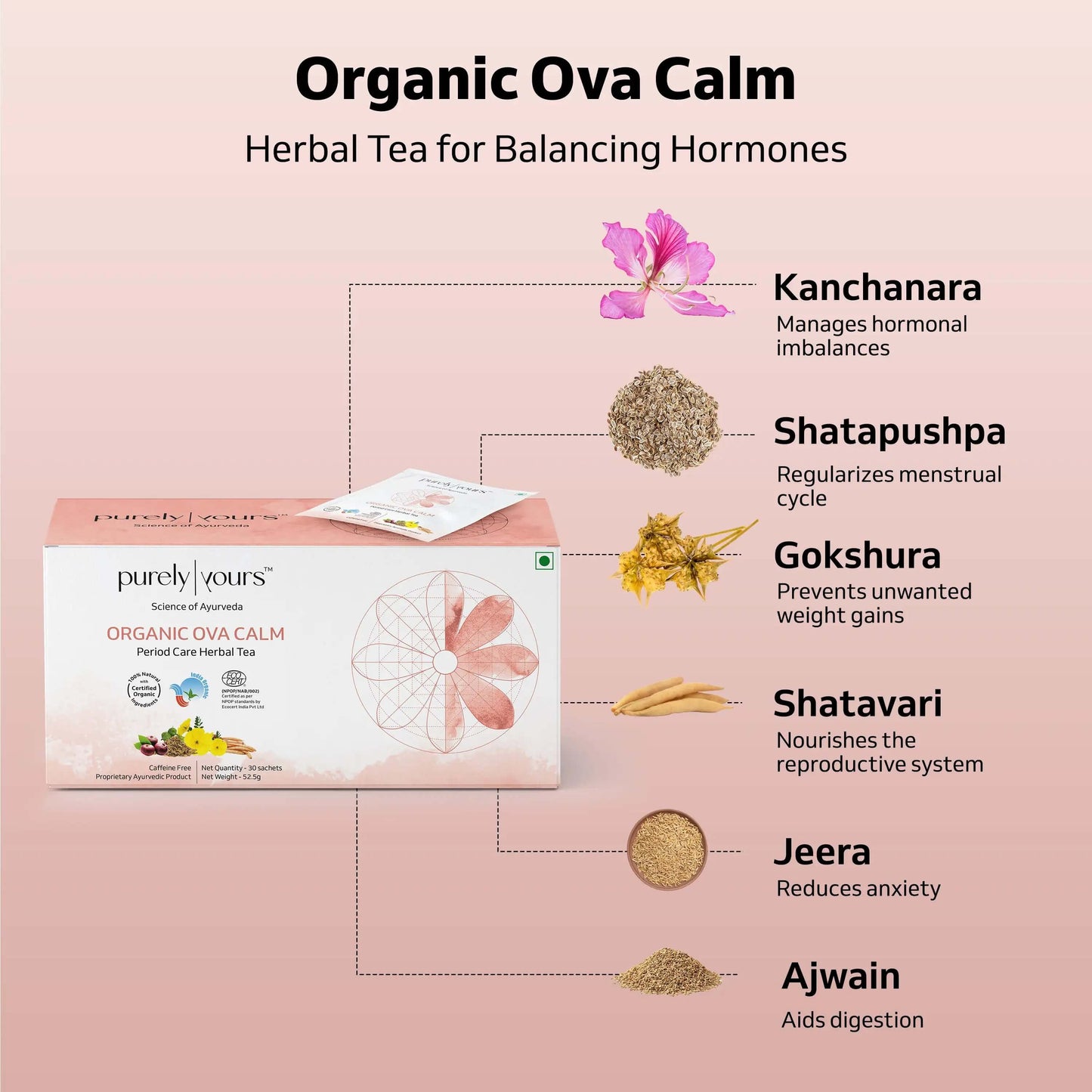 Menopause Care Pack