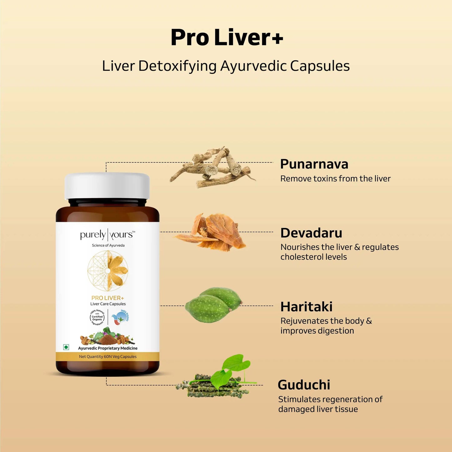 Probiotic Gut Care Pack