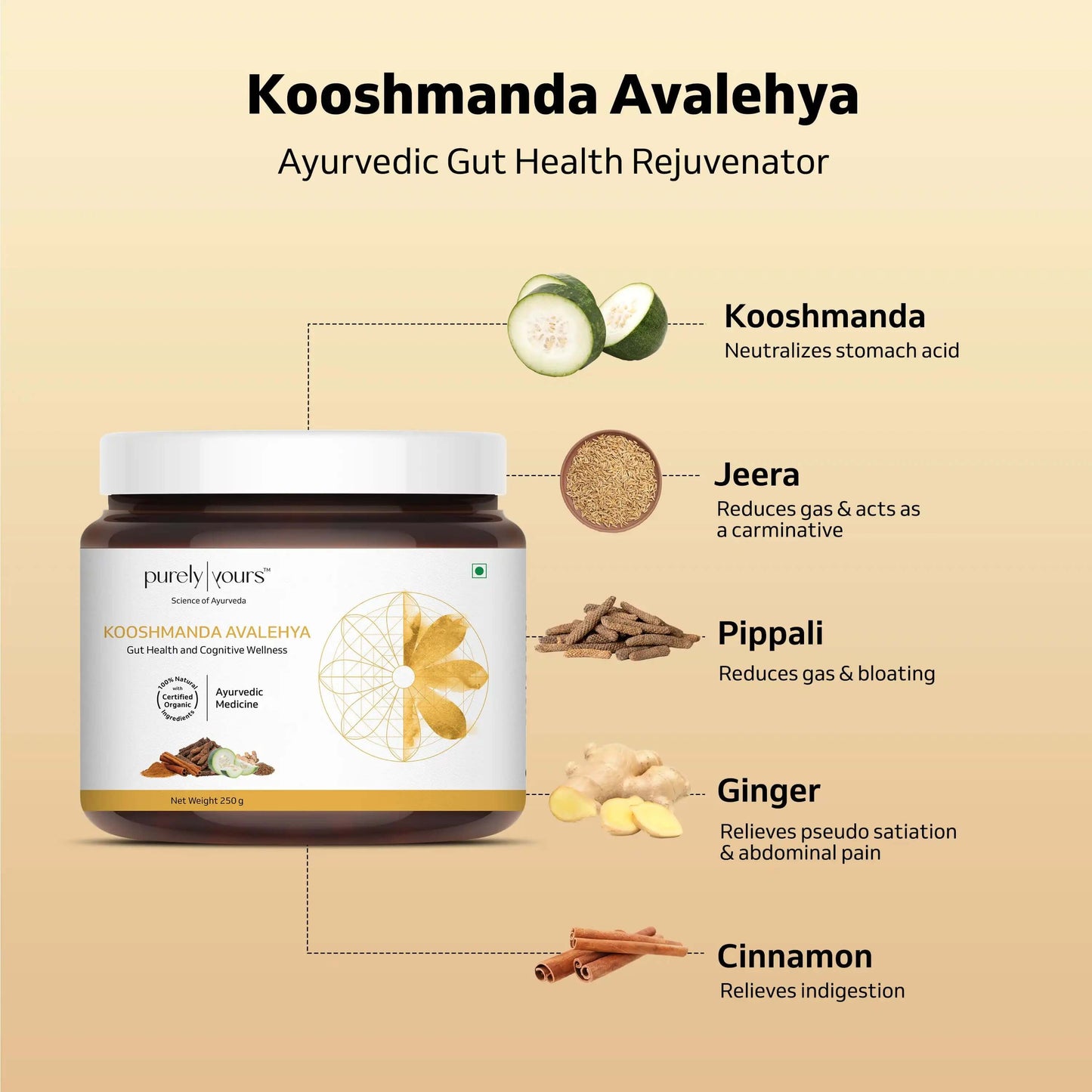 Probiotic Gut Care Pack